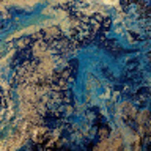 Meet your Posher, Artist